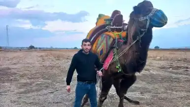 Deve Satışından Ölüm: Festival Ertelendi