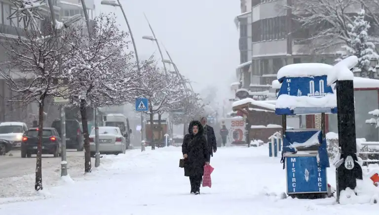 Doğu Anadolu'da Şiddetli Soğuk: Hayatı Felç Etti!